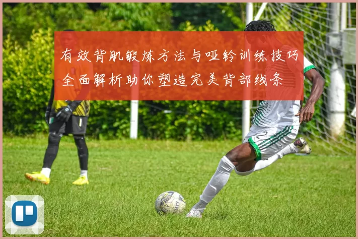 有效背肌锻炼方法与哑铃训练技巧全面解析助你塑造完美背部线条